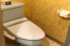 Toilet with heated bidet function