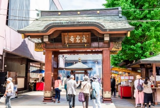 Koganji Temple (Togenuki Jizo)