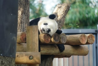 Ueno Zoological Gardens