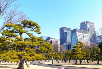 Kokyo Gaien National Garden