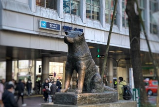 Shibuya Hachiko Status