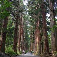 戸隠神社